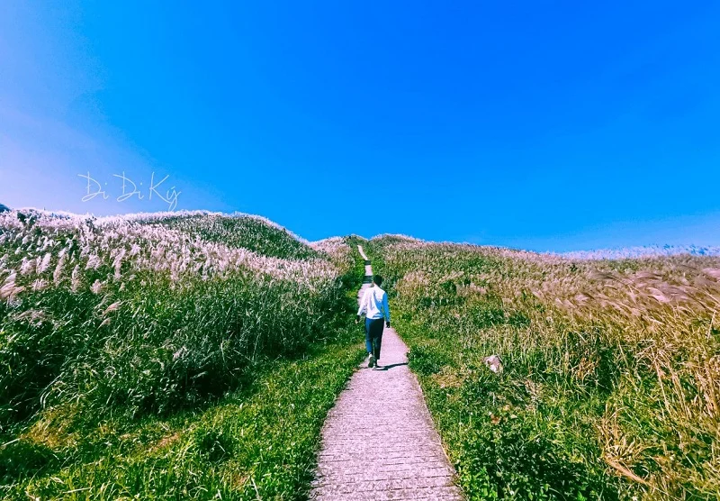 NORTHEAST VIETNAM CYCLING DISCOVERY MONG CAI - BINH LIEU - TIEN YEN 4 DAYS